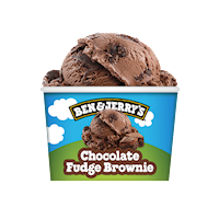 Ben & Jerry's Chocolate Fudge Brownie