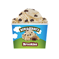 Ben & Jerry's Brookies 
